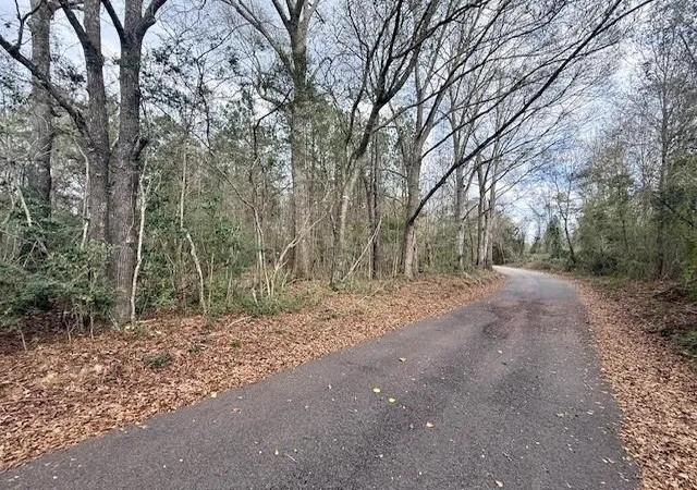 Photo 2 of Land for sale at 0 Burch Rd, Mount Hermon, LA 70450 | MLS# 2537300 | Listing updated on 2026-08-20