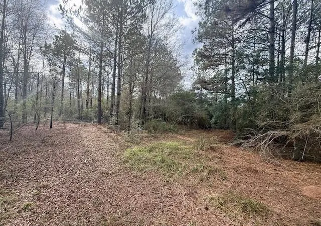 Photo 3 of Land for sale at 0 Burch Rd, Mount Hermon, LA 70450 | MLS# 2537300 | Listing updated on 2026-08-20