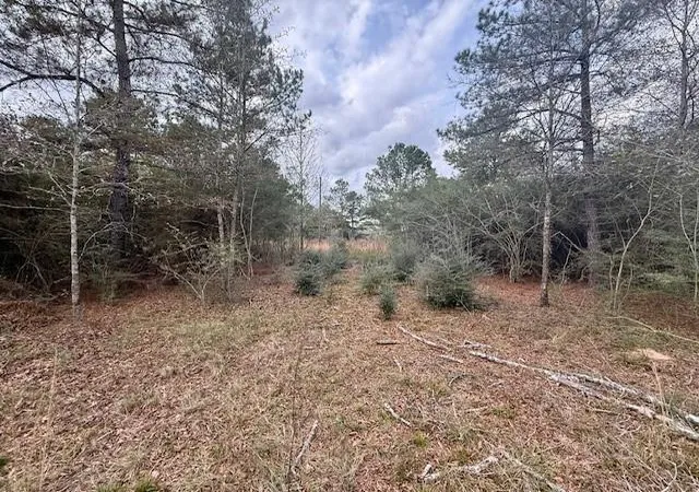 Photo 4 of Land for sale at 0 Burch Rd, Mount Hermon, LA 70450 | MLS# 2537300 | Listing updated on 2026-08-20