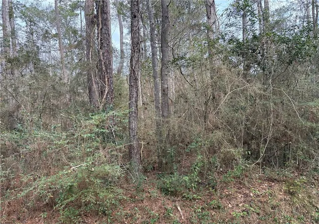Photo 3 of Land for sale at Huey St, Lacombe, LA 70445 | MLS# 2538559 | Listing updated on 2026-08-21