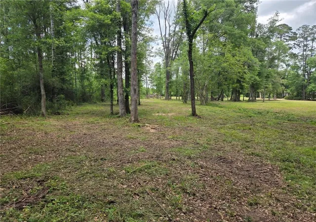 Photo 4 of Sale Pending at 63271 Hill St, Roseland, LA 70456 | MLS# 2539069 | Listing updated on 2026-08-12