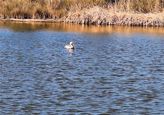 Photo 3 of Land for sale at 53337 Highway 433, Slidell, LA 70461 | MLS# 2542981 | Listing updated on 2026-08-11
