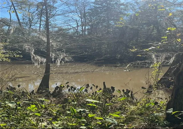 Photo 3 of Land for sale at 513 West 5th Ave, Covington, LA 70433 | MLS# 2545109 | Listing updated on 2026-08-20
