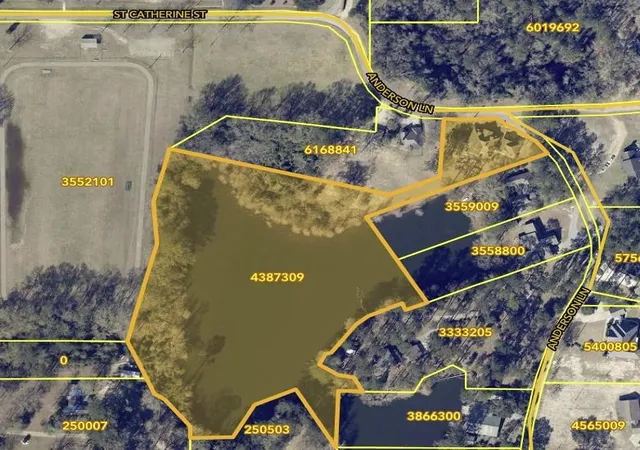 23rd image of 60249 Anderson Ln, Amite, LA 70422 | MLS# 2546835