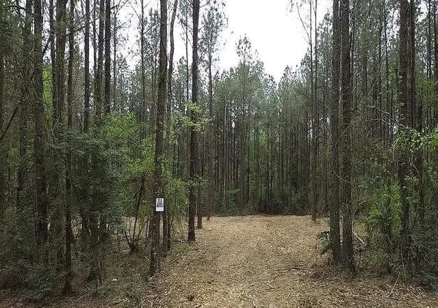 Photo 2 of Land for sale at Tbd Harts Ln, Kentwood, LA 70444 | MLS# 2548696 | Listing updated on 2026-08-17