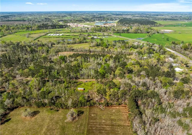 Photo 4 of Land for sale at 10392 & 10398 Hwy 16, Amite, LA 70422 | MLS# 2546846 | Listing updated on 2026-08-10