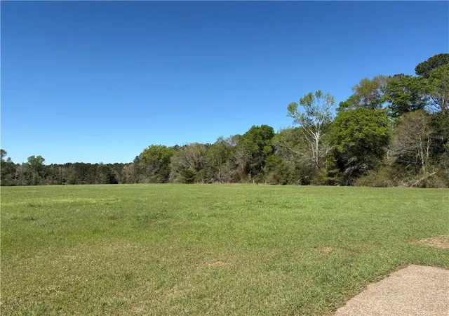 Photo 4 of Land for sale at Lot 123 Bridger Ave, Loranger, LA 70446 | MLS# 2549527 | Listing updated on 2026-08-17