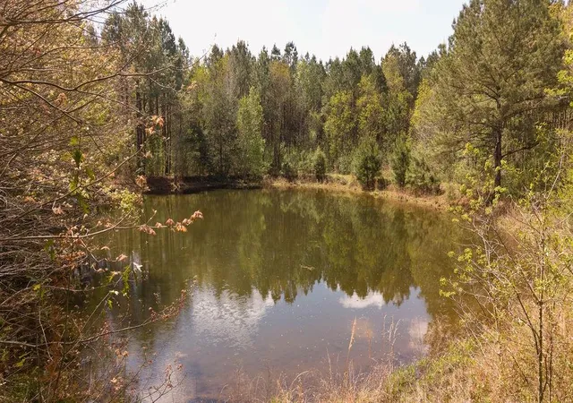 2nd image of 43162 La 38 Hwy, Franklinton, LA 70438 | MLS# 2549281