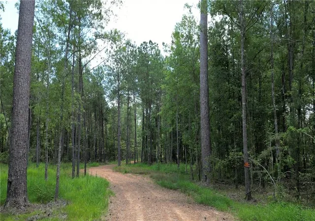 Photo 1 of Land for sale at 35072 La 43 Hwy, Independence, LA 70443 | MLS# 2552824 | Listing updated on 2026-08-24