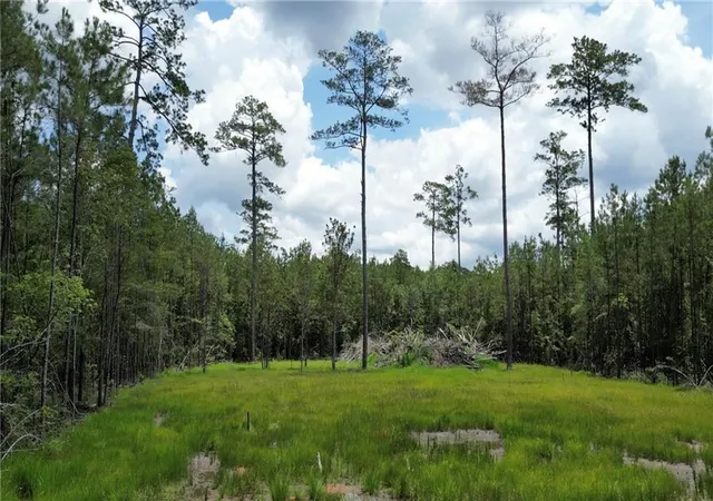 Photo 3 of Land for sale at 35072 La 43 Hwy, Independence, LA 70443 | MLS# 2552824 | Listing updated on 2026-08-24