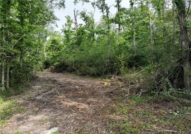 Photo 2 of Land for sale at Shadow Lake Dr, Holden, LA 70744 | MLS# 2553914 | Listing updated on 2026-08-11