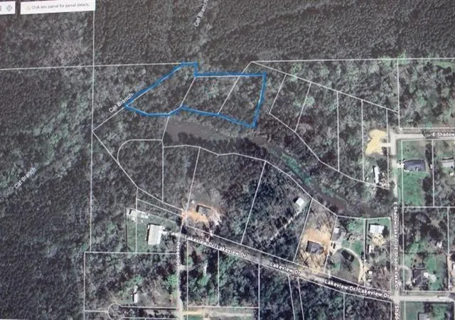 Photo 7 of Land for sale at Shadow Lake Dr, Holden, LA 70744 | MLS# 2553914 | Listing updated on 2026-08-11