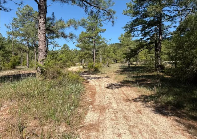 Photo 2 of Land for sale at Tbd Lot 3 Hwy 25 Dr, Franklinton, LA 70438 | MLS# 2554976 | Listing updated on 2026-08-10