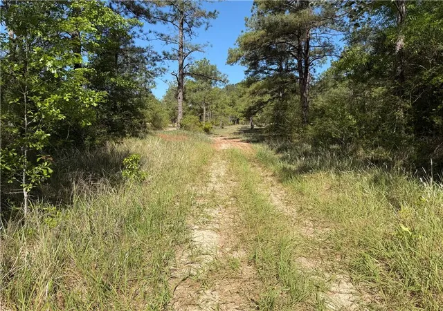Photo 3 of Land for sale at Tbd Lot 3 Hwy 25 Dr, Franklinton, LA 70438 | MLS# 2554976 | Listing updated on 2026-08-10