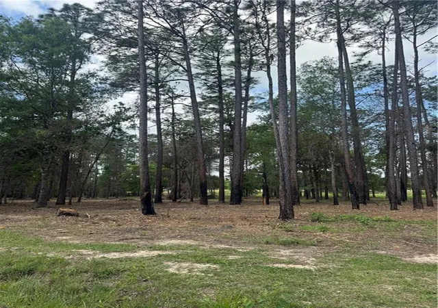 Photo 16 of Land for sale at 0 Spirit Of The Forest Ln, Folsom, LA 70437 | MLS# 2555944 | Listing updated on 2026-08-24