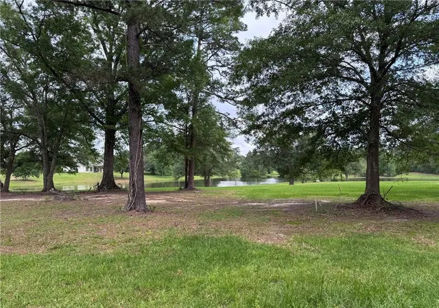 Photo 1 of Land for sale at Lot 451 Chinawood Dr, Abita Springs, LA 70420 | MLS# 2556331 | Listing updated on 2026-08-15