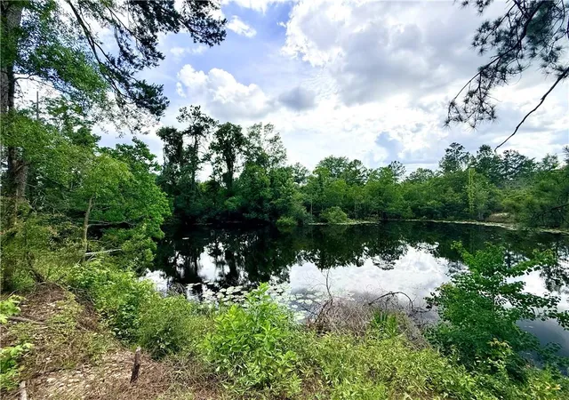 33rd image of 18013 16 Hwy, Franklinton, LA 70438 | MLS# 2561503