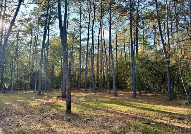 Photo 3 of Land for sale at 26024 Pine View Dr, Folsom, LA 70437 | MLS# 2563718 | Listing updated on 2026-08-18
