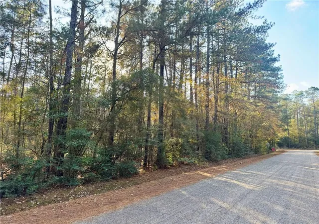 Photo 8 of Land for sale at 26024 Pine View Dr, Folsom, LA 70437 | MLS# 2563718 | Listing updated on 2026-08-18