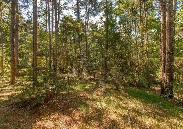 29th image of 4150 E Us 98 Hwy, Mc Comb, MS 39648 | MLS# 2564164
