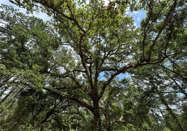 Photo 6 of Land for sale at 60017 S Tranquility Rd, Lacombe, LA 70445 | MLS# 2564889 | Listing updated on 2026-08-18