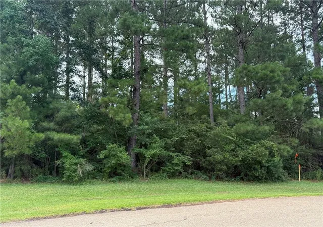 Photo 1 of Sale Pending at 320 Beebalm Cir, Covington, LA 70435 | MLS# 2565927 | Listing updated on 2026-08-21