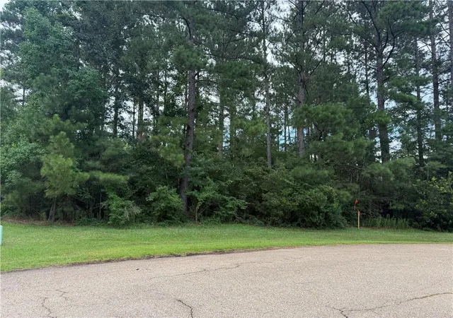Photo 2 of Sale Pending at 320 Beebalm Cir, Covington, LA 70435 | MLS# 2565927 | Listing updated on 2026-08-21