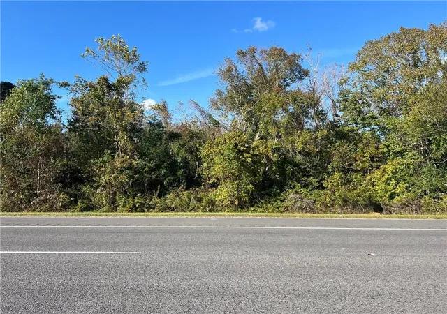 3rd image of Lot 21 C-2 E La Hwy 46 Hwy, St Bernard, LA 70085 | MLS# 2566080