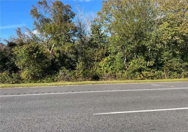 4th image of Lot 21 C-2 E La Hwy 46 Hwy, St Bernard, LA 70085 | MLS# 2566080