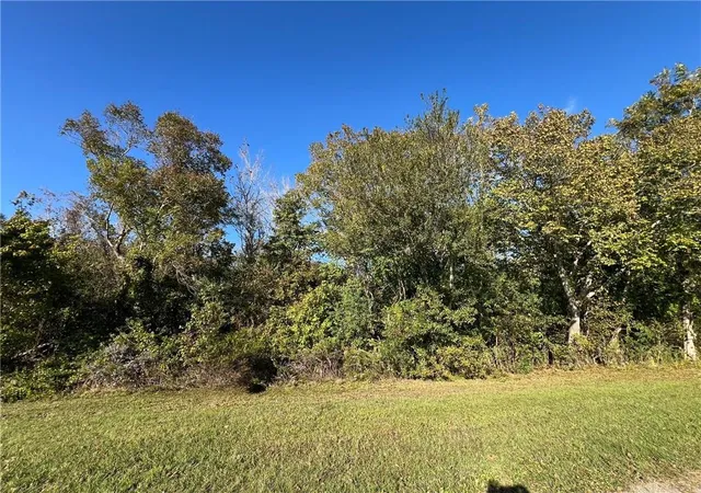 7th image of Lot 21 C 2 E La Hwy 46 Hwy, St Bernard, LA 70085 | MLS# 2566080