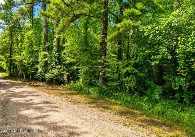 Photo 1 of Land for sale at Belle Gardner Rd, Amite, LA 70422 | MLS# 2567086 | Listing updated on 2026-08-10