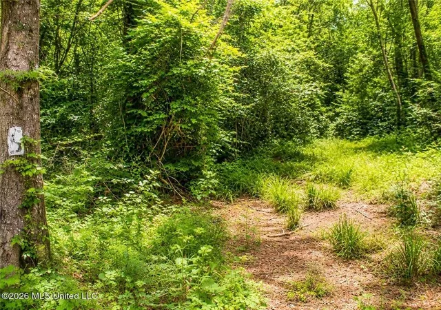 Photo 4 of Land for sale at Belle Gardner Rd, Amite, LA 70422 | MLS# 2567086 | Listing updated on 2026-08-10