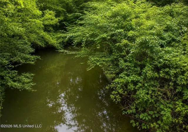 Photo 8 of Land for sale at Belle Gardner Rd, Amite, LA 70422 | MLS# 2567086 | Listing updated on 2026-08-10