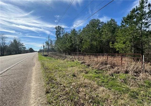Photo 4 of Land for sale at 52181 Highway 51, Independence, LA 70443 | MLS# 2567608 | Listing updated on 2026-08-24