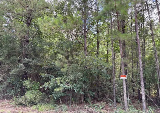 Photo 1 of Sale Pending at 1529 Ac Trappers Run, Albany, LA 70711 | MLS# 2568258 | Listing updated on 2026-08-26