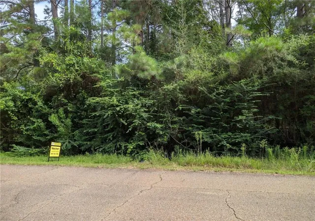Photo 5 of Land for sale at Providence Ests Rd, Amite, LA 70422 | MLS# 2568304 | Listing updated on 2026-08-14