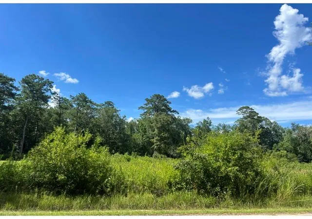 Photo 1 of Land for sale at 0 Max Mercer Rd, Pearl River, LA 70452 | MLS# 2569465 | Listing updated on 2026-08-17
