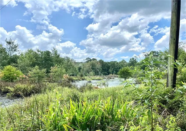 34th image of 23486 D H Bateman Rd, Franklinton, LA 70438 | MLS# 2569496