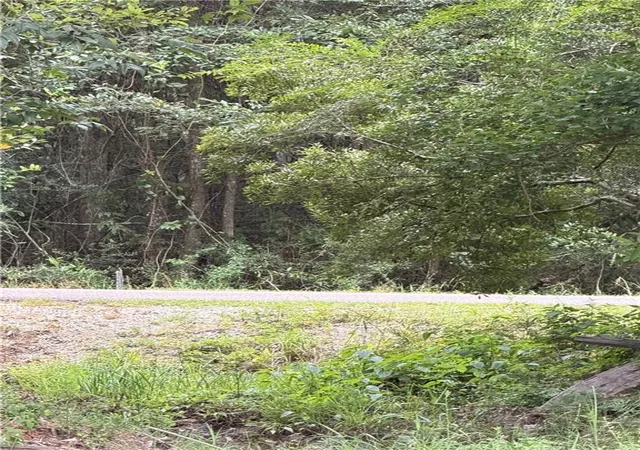 Photo 3 of Land for sale at 71024 Golden St, Abita Springs, LA 70420 | MLS# 2570023 | Listing updated on 2026-08-22