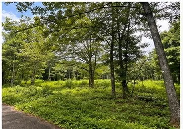 Photo 1 of Land for sale at 105 Hialeah Dr, Bush, LA 70431 | MLS# 2570986 | Listing updated on 2026-08-13