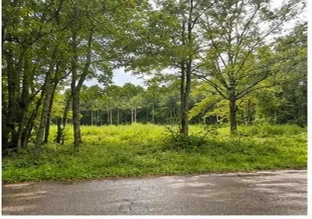 Photo 2 of Land for sale at 105 Hialeah Dr, Bush, LA 70431 | MLS# 2570986 | Listing updated on 2026-08-13