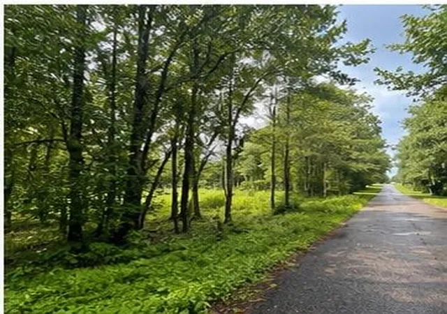 Photo 2 of Land for sale at 105 Hialeah Dr, Bush, LA 70431 | MLS# 2570986 | Listing updated on 2026-08-13