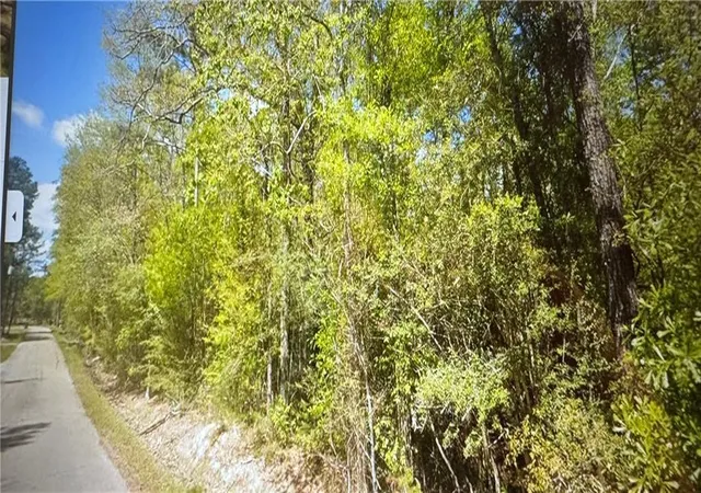 Photo 6 of Land for sale at Tbd Wild St, Springfield, LA 70462 | MLS# 2571553 | Listing updated on 2026-08-13