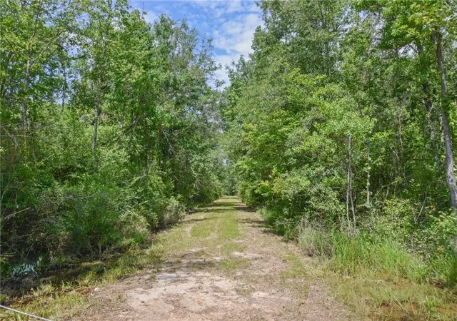3rd image of 50278 (Lot 6) Allen Dr, Loranger, LA 70446 | MLS# 2571593