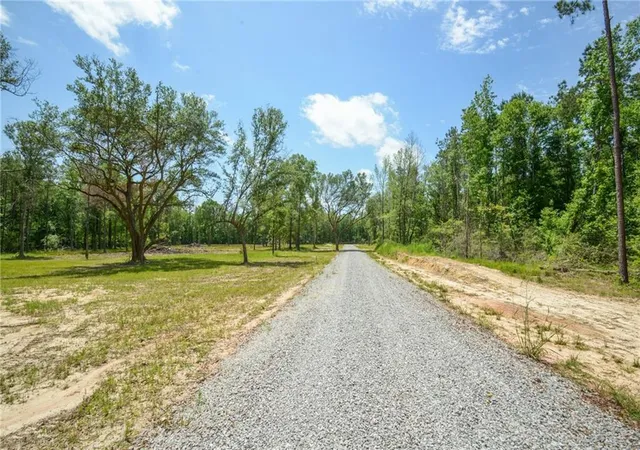 4th image of 50278 (Lot 6) Allen Dr, Loranger, LA 70446 | MLS# 2571593