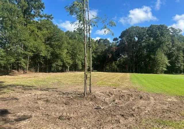 Photo 2 of Land for sale at Stepp Rd, Robert, LA 70455 | MLS# 2571679 | Listing updated on 2026-08-13