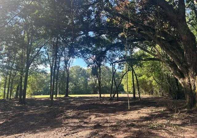 Photo 5 of Land for sale at Stepp Rd, Robert, LA 70455 | MLS# 2571679 | Listing updated on 2026-08-13