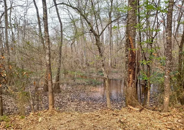 Photo 2 of Land for sale at 14071 Cypress Crst Ln, Ponchatoula, LA 70454 | MLS# 2571692 | Listing updated on 2026-08-13