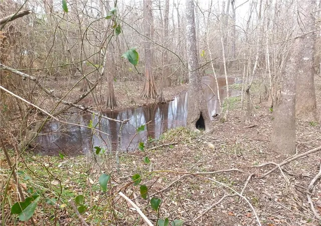 Photo 3 of Land for sale at 14071 Cypress Crst Ln, Ponchatoula, LA 70454 | MLS# 2571692 | Listing updated on 2026-08-13