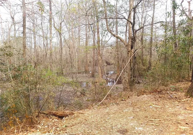 Photo 4 of Land for sale at 14071 Cypress Crst Ln, Ponchatoula, LA 70454 | MLS# 2571692 | Listing updated on 2026-08-13